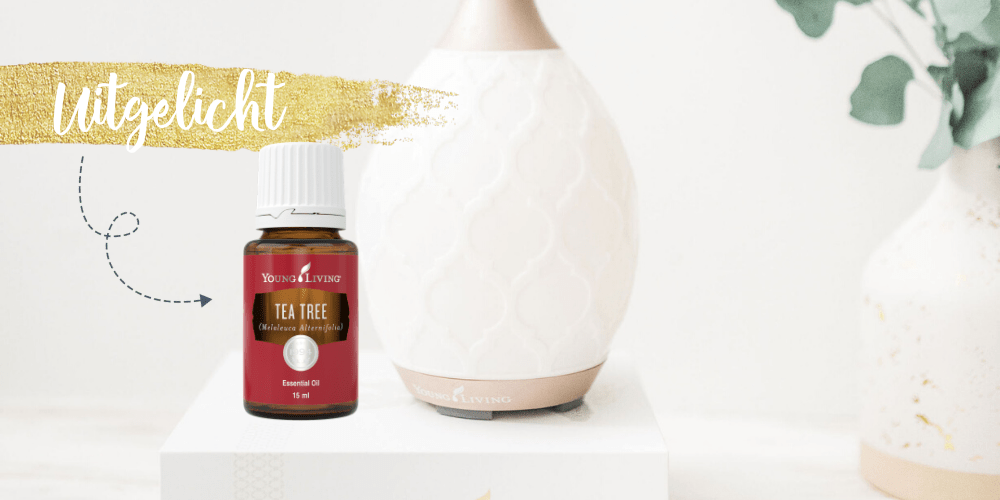 Tea Tree, Essentiële olie uitgelicht, Young Living, Blooming Blends, huidverzorgingsproduct, nare geur verwijderen, vermindert vlekken, ondersteunt huid
