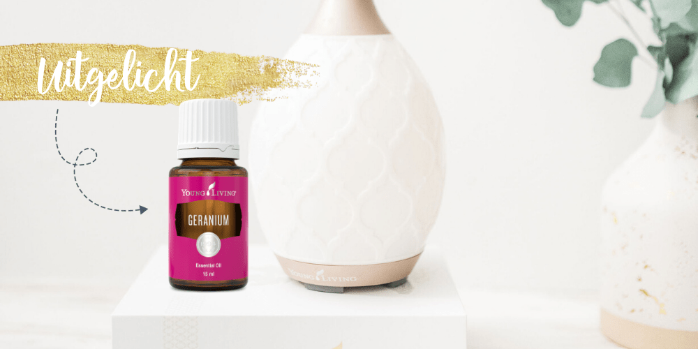 Geranium, essentiële olie uitgelicht, opwekkend, kalmerend, recept skincleanser, goed voor huid, Young Living, blooming blends