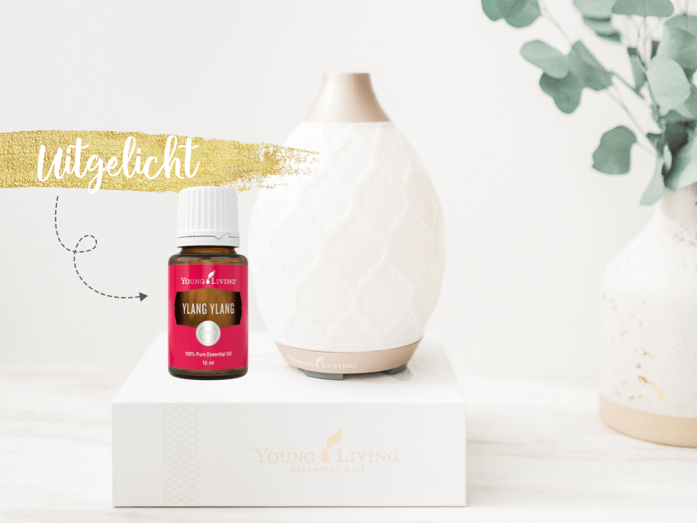 Ylang Ylang, essentiële olie, Young Living, Blooming Blends, concentratie, parfum, Valentijnsdag, kalmerend, ontspannend, romantiek