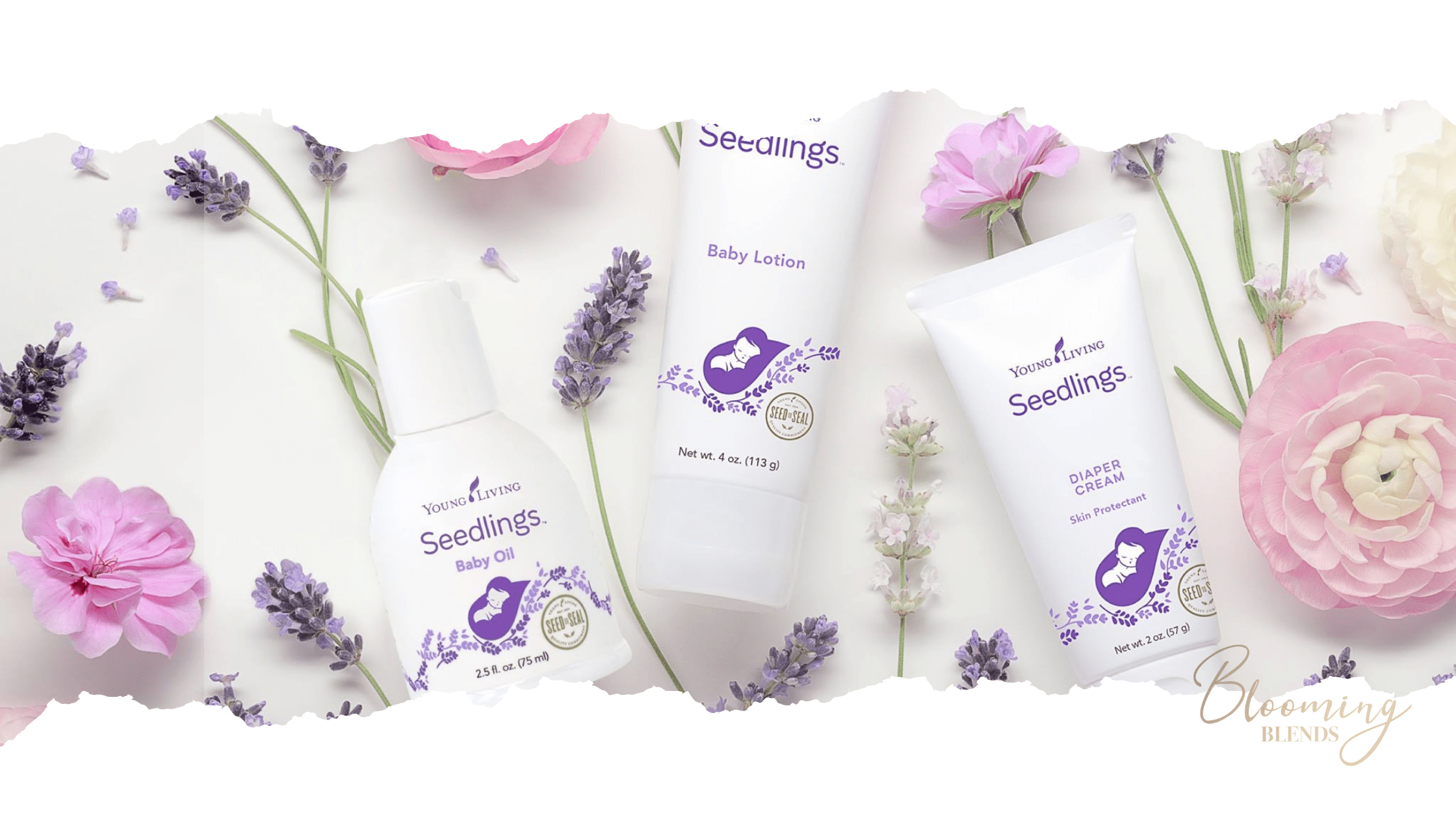 Seedlings Banner-2