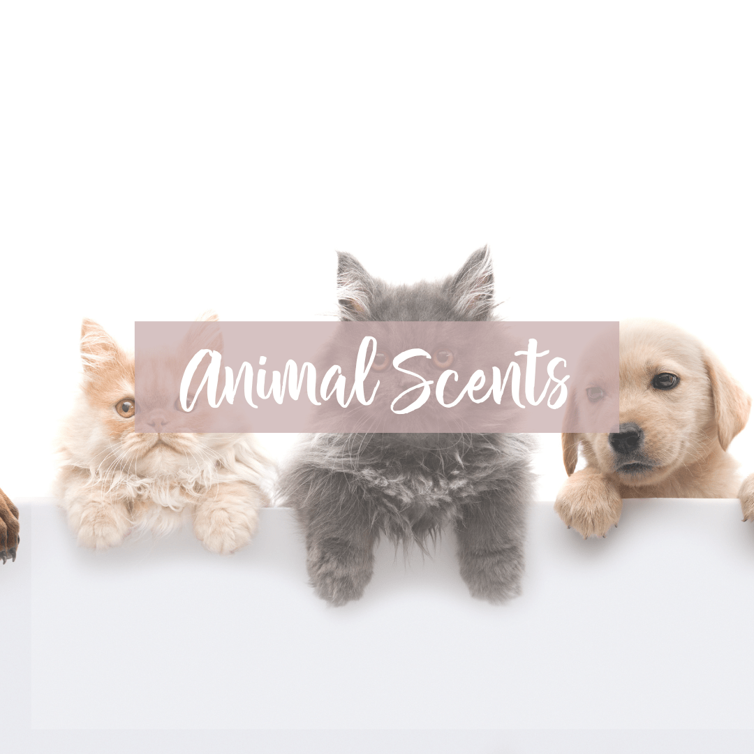 Animal Scents