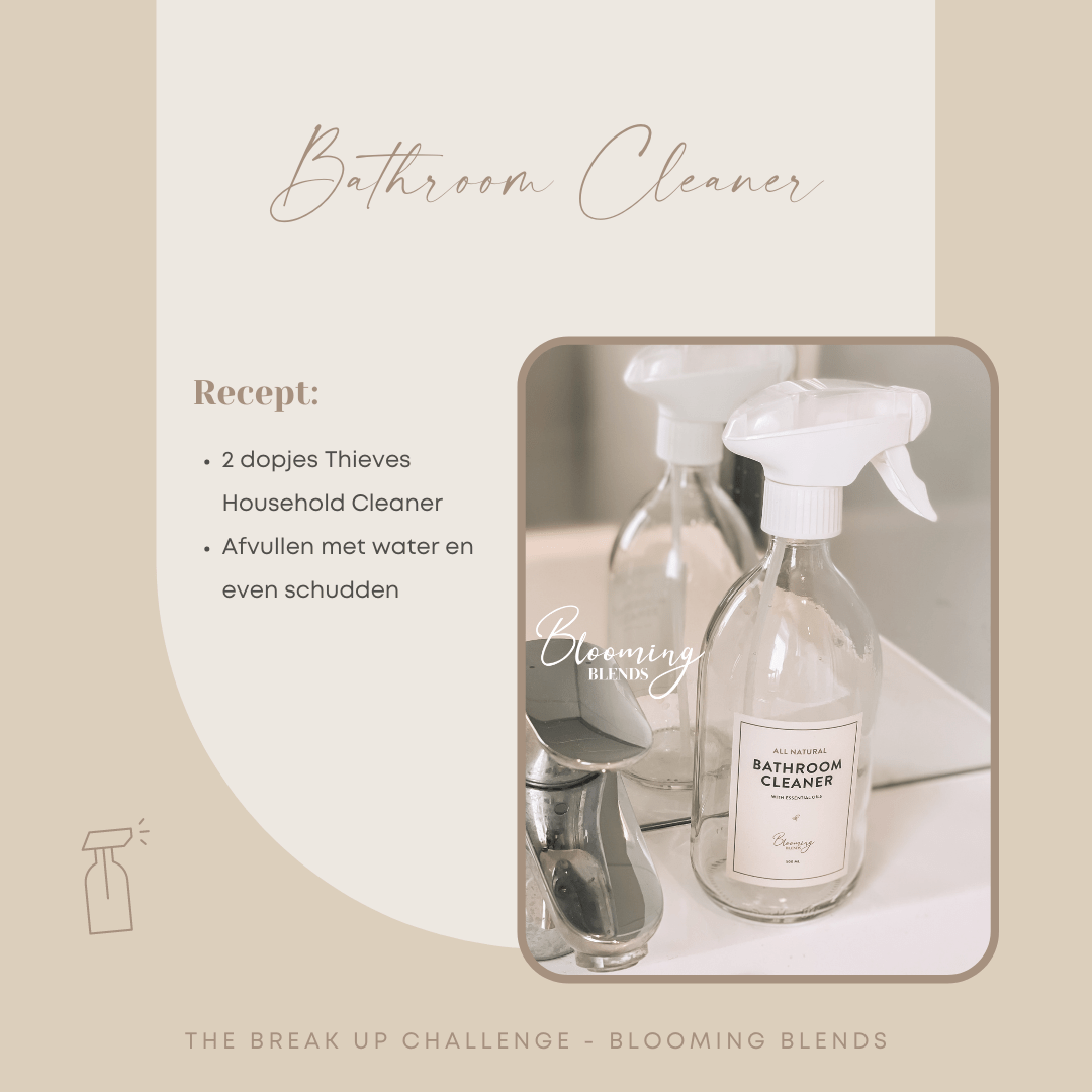 Bathroom Cleaner