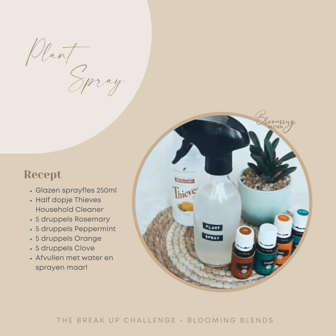 Cleaning Challenge - Instagram feed (7) Blooming Blends Plant Spray