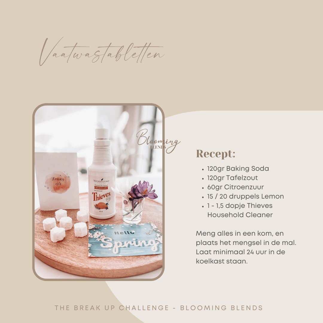 Dag 8 - Recept vaatwastabletten