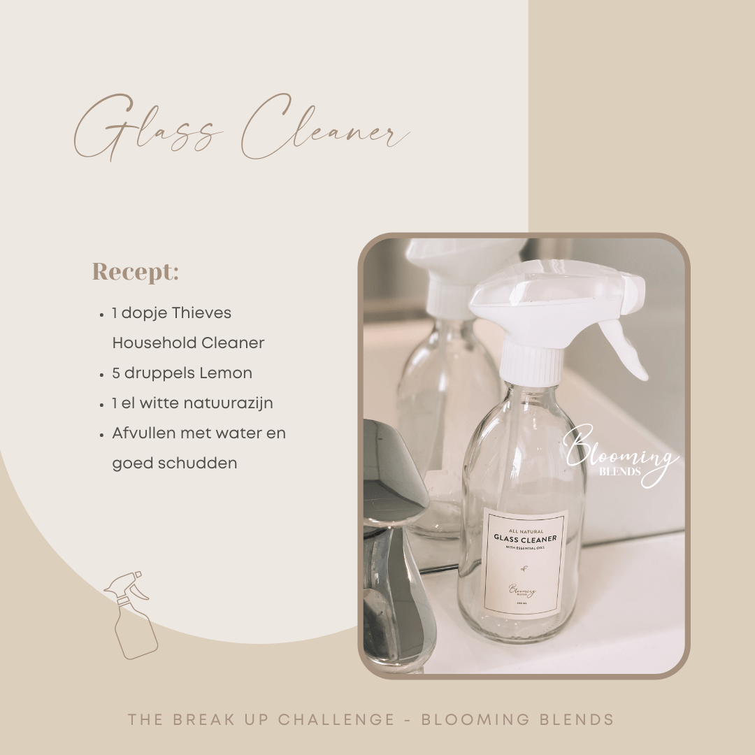 Glass Cleaner