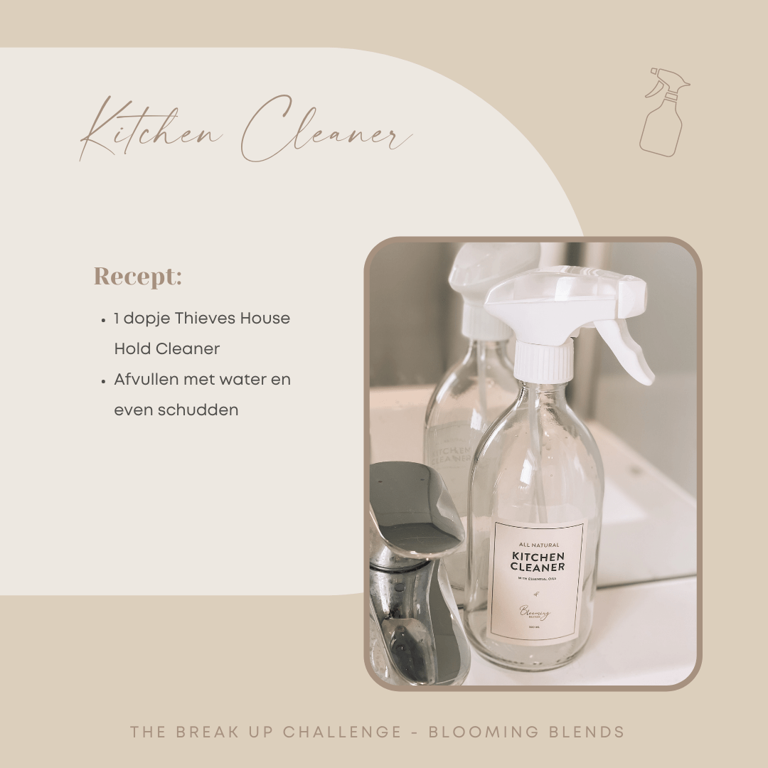 Kitchen Cleaner