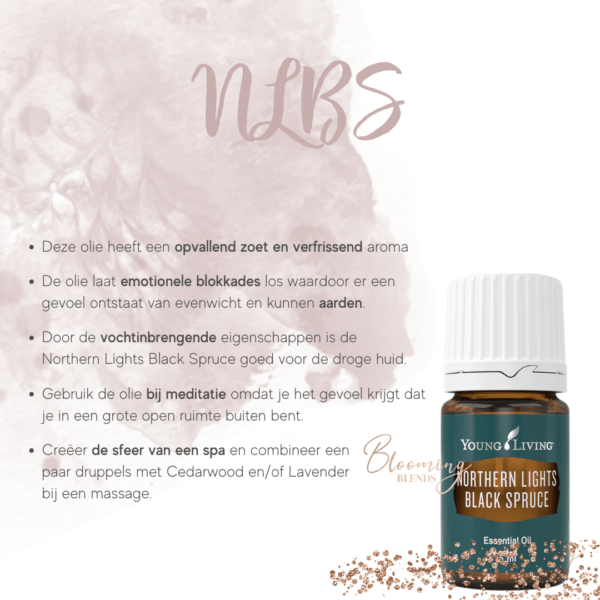 NLBS NLBS