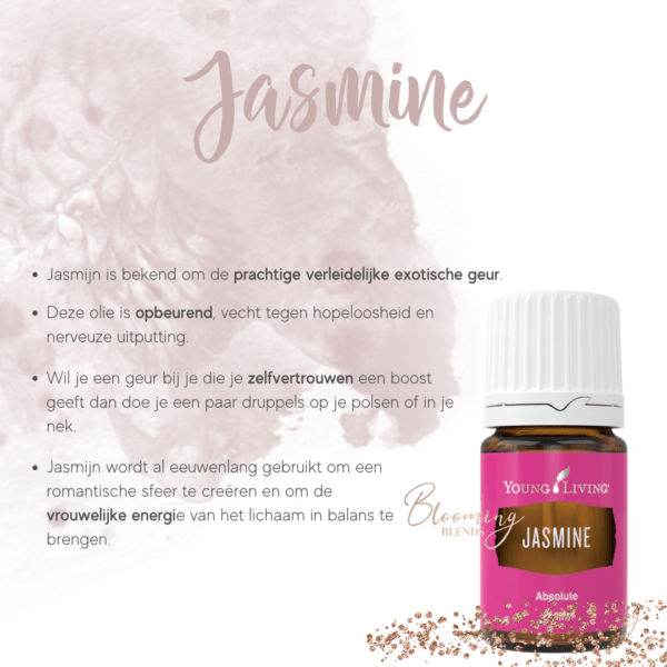 Jasmine Jasmine