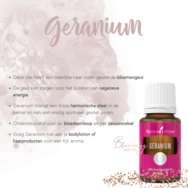 Geranium Geranium