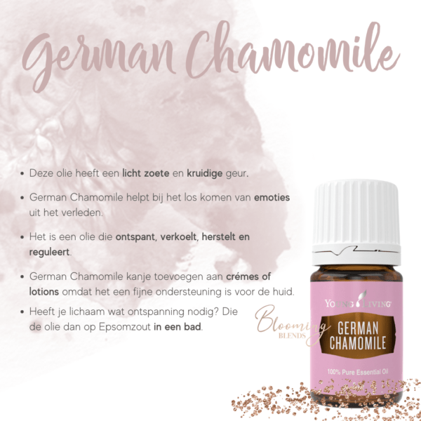 German Chamomile German Chamomile