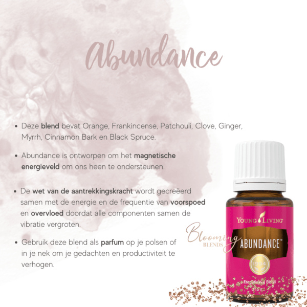 Abundance Abundance