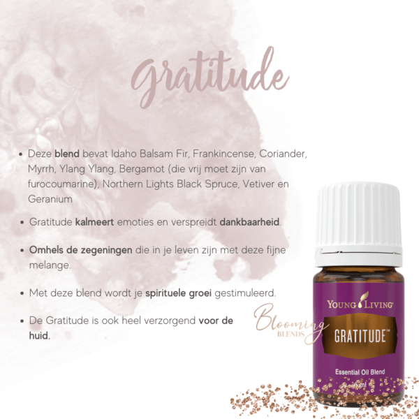 Gratitude Gratitude