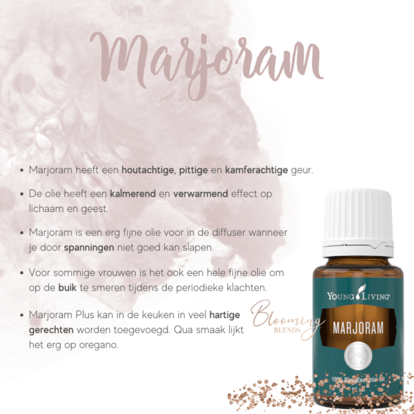 Marjoram Marjoram