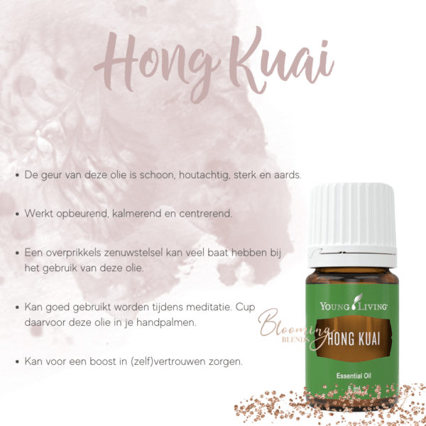 Hong Kuai-2 Hong Kuai-2