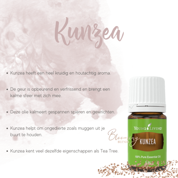 Kunzea Kunzea