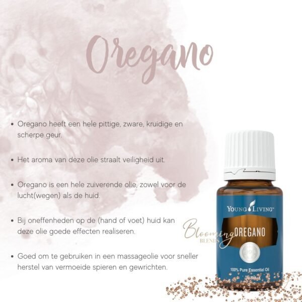 Oregano