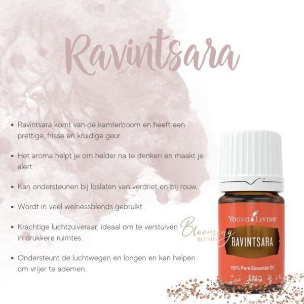 Ravintsara Ravintsara