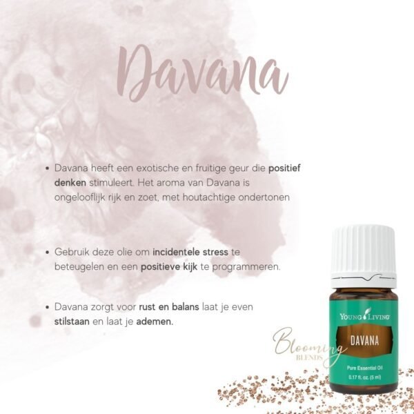 Davana-3