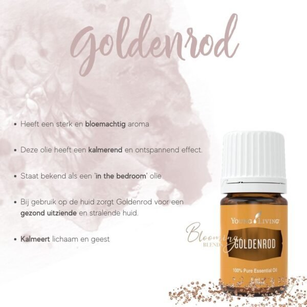 Goldenrod-2
