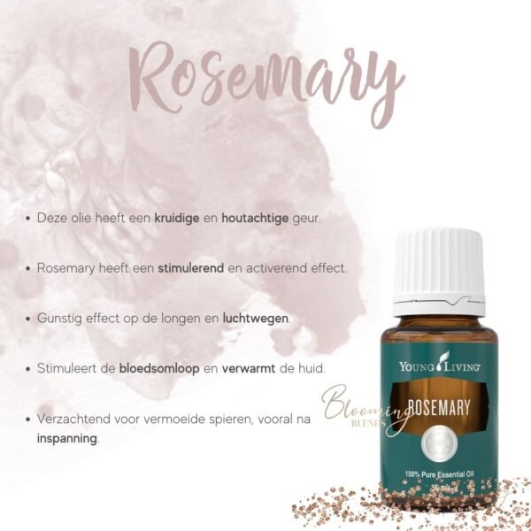 Rosemary-3 Rosemary-3
