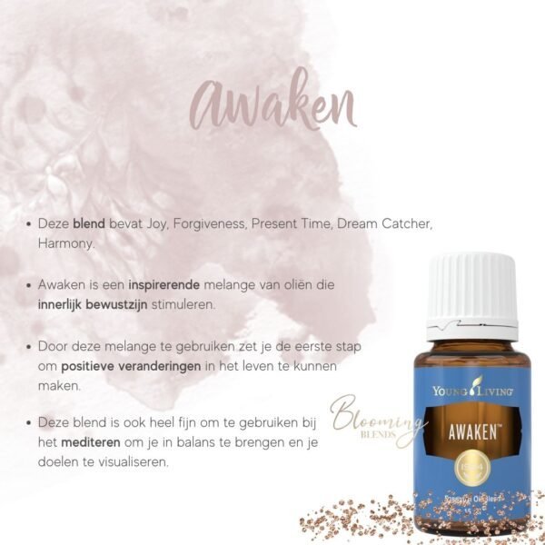 Awaken Awaken