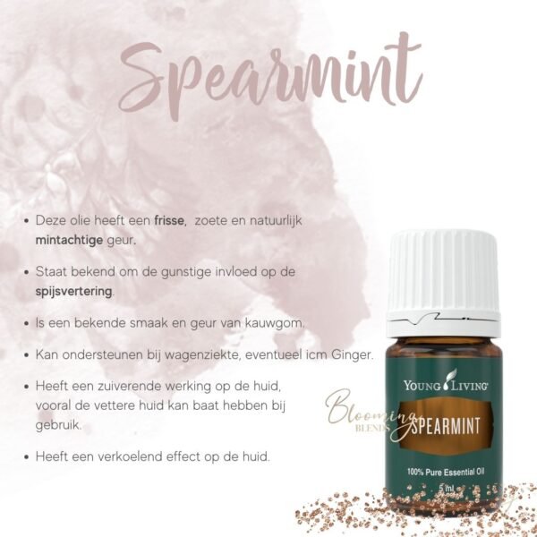 Spearmint Spearmint