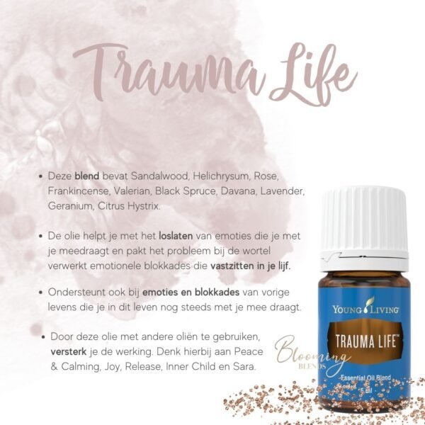 Trauma life Trauma life