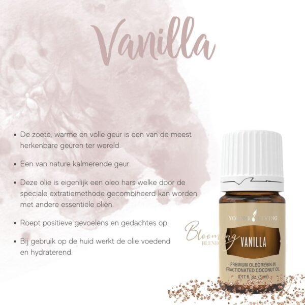 Vanilla