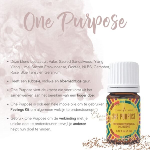 One Purpose One Purpose