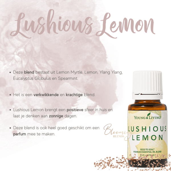 Lushious Lemon tekst Lushious Lemon tekst