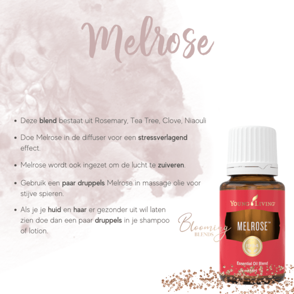 Melrose tekst Melrose tekst