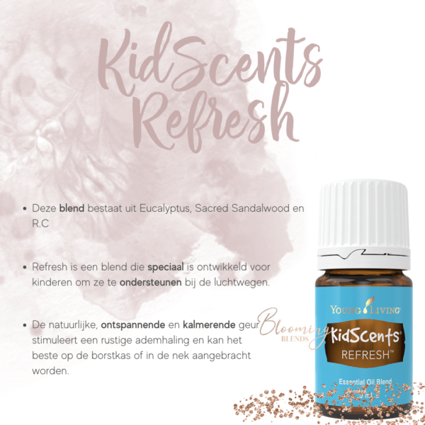 Refresh tekst Refresh tekst