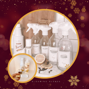 Thieves Cleaning Set