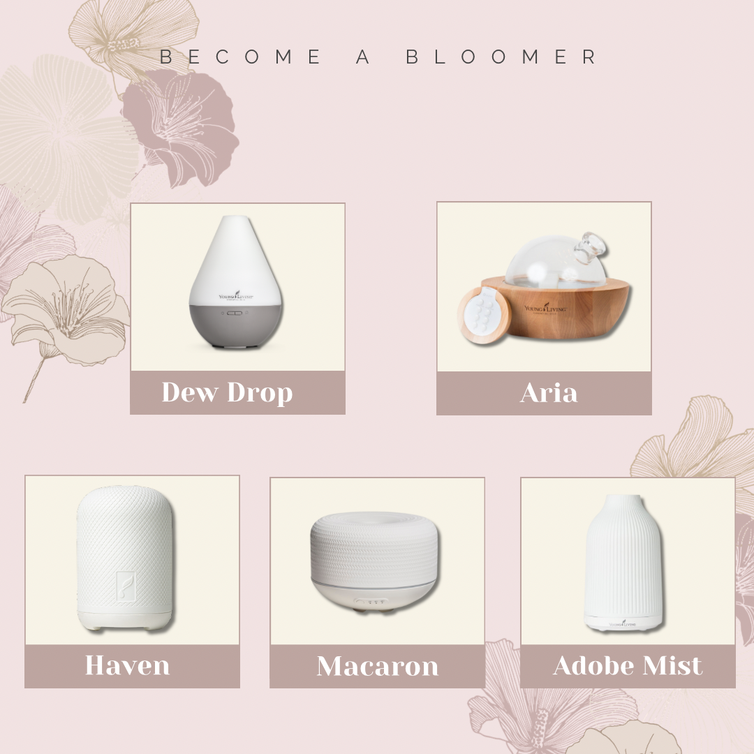 Become a Bloomer: Starterkit met diffuser naar keuze